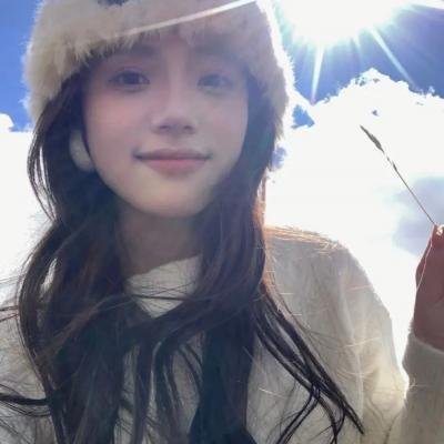 狮子狗行动